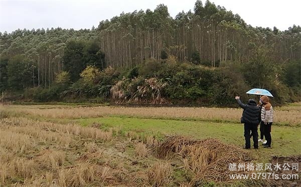 徐州陈老师带着爱徒寻龙点穴